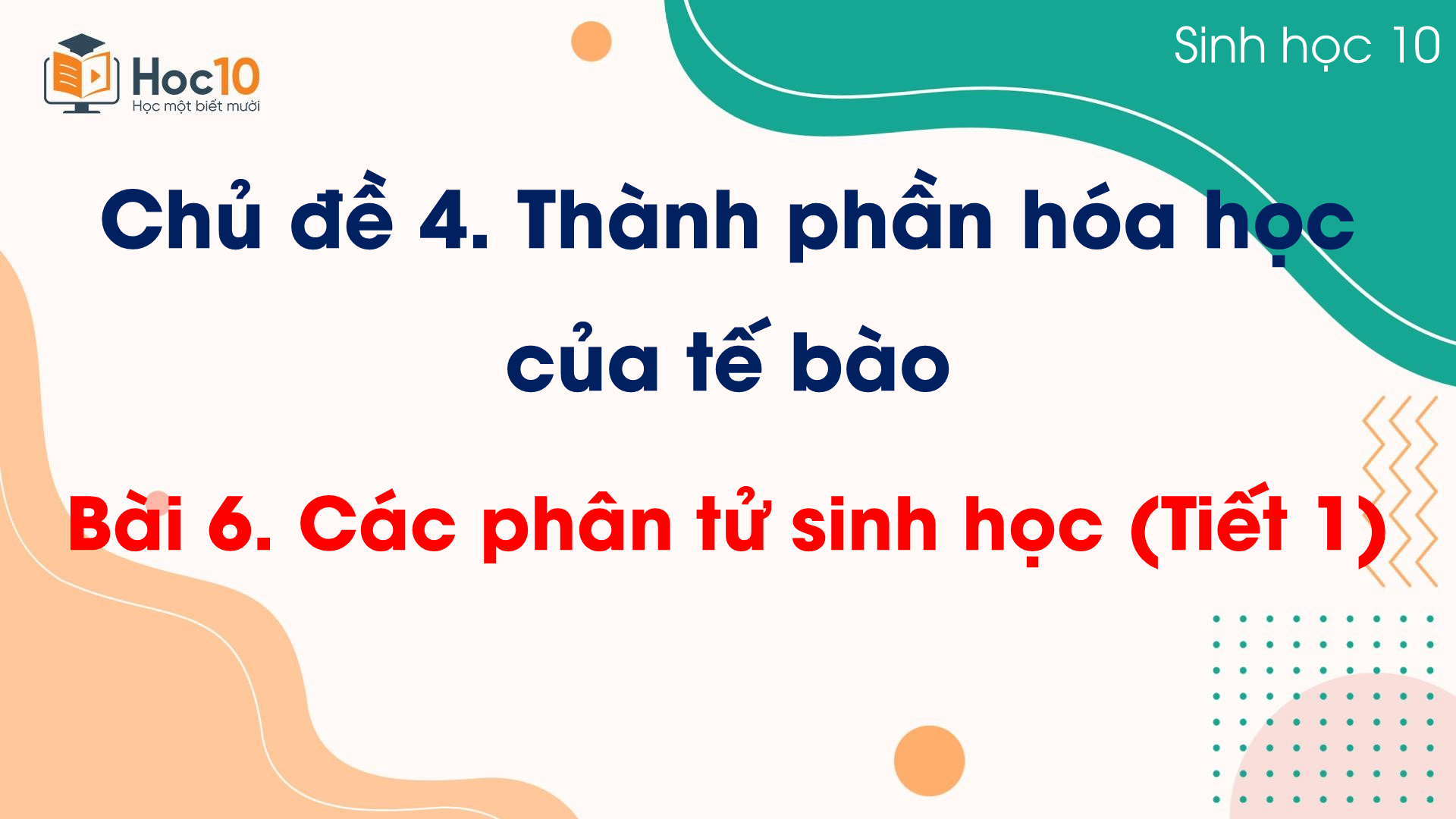 Bài 6 Các phân tử sinh học (Tiết 1)